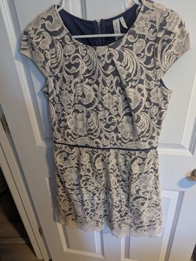 Pink Owl Navy and Ivory Lace Sheath Dress Size L